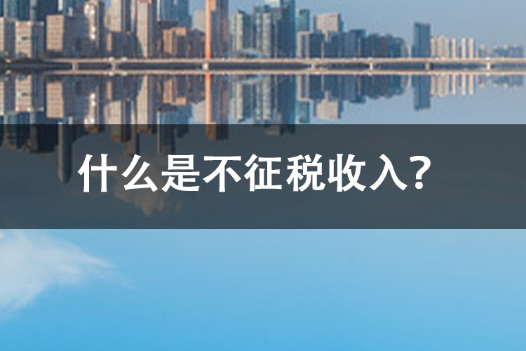 什么是不征税收入？