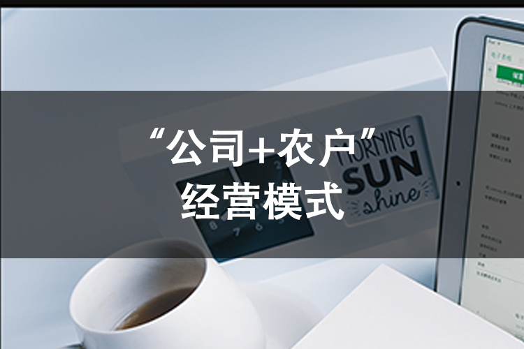 “公司+农户”经营模式