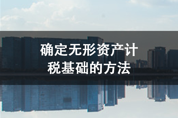确定无形资产计税基础的方法