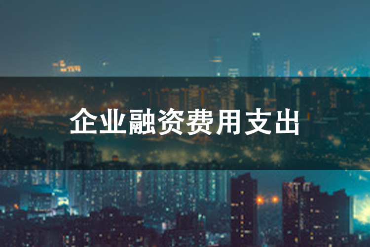 企业融资费用支出